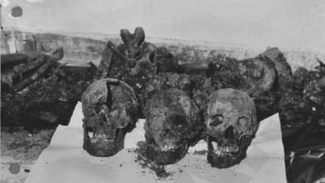 Craniul lui Foriş (primul din dreapta), la exhumarea din 1968